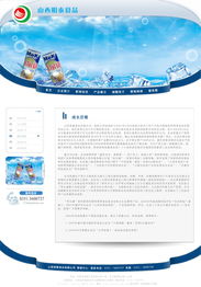 山西明泰食品網站制作方案 高效專業，助力品牌騰飛